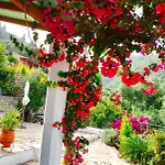 Fior Di Corfu